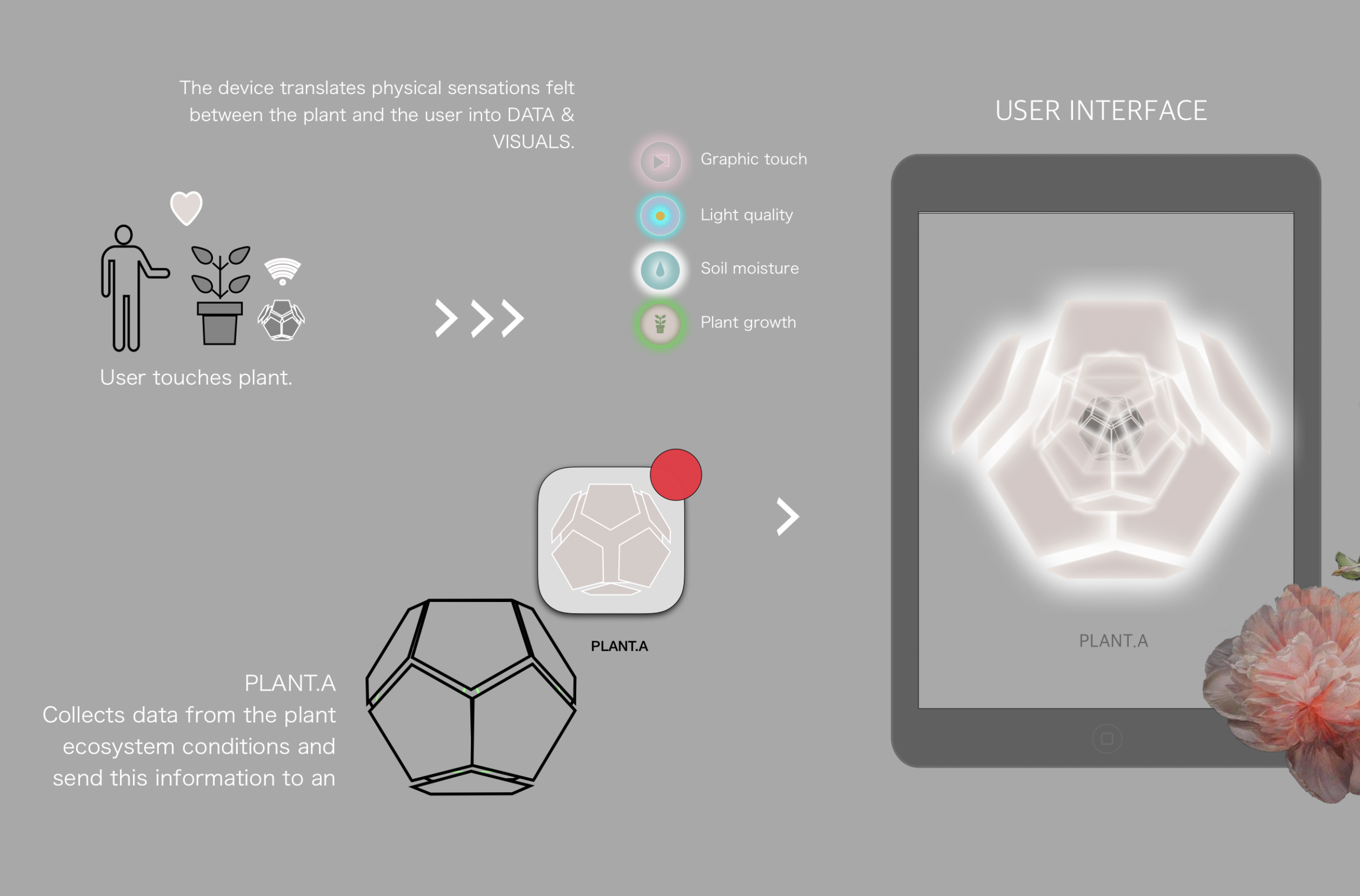 Technical Architecture