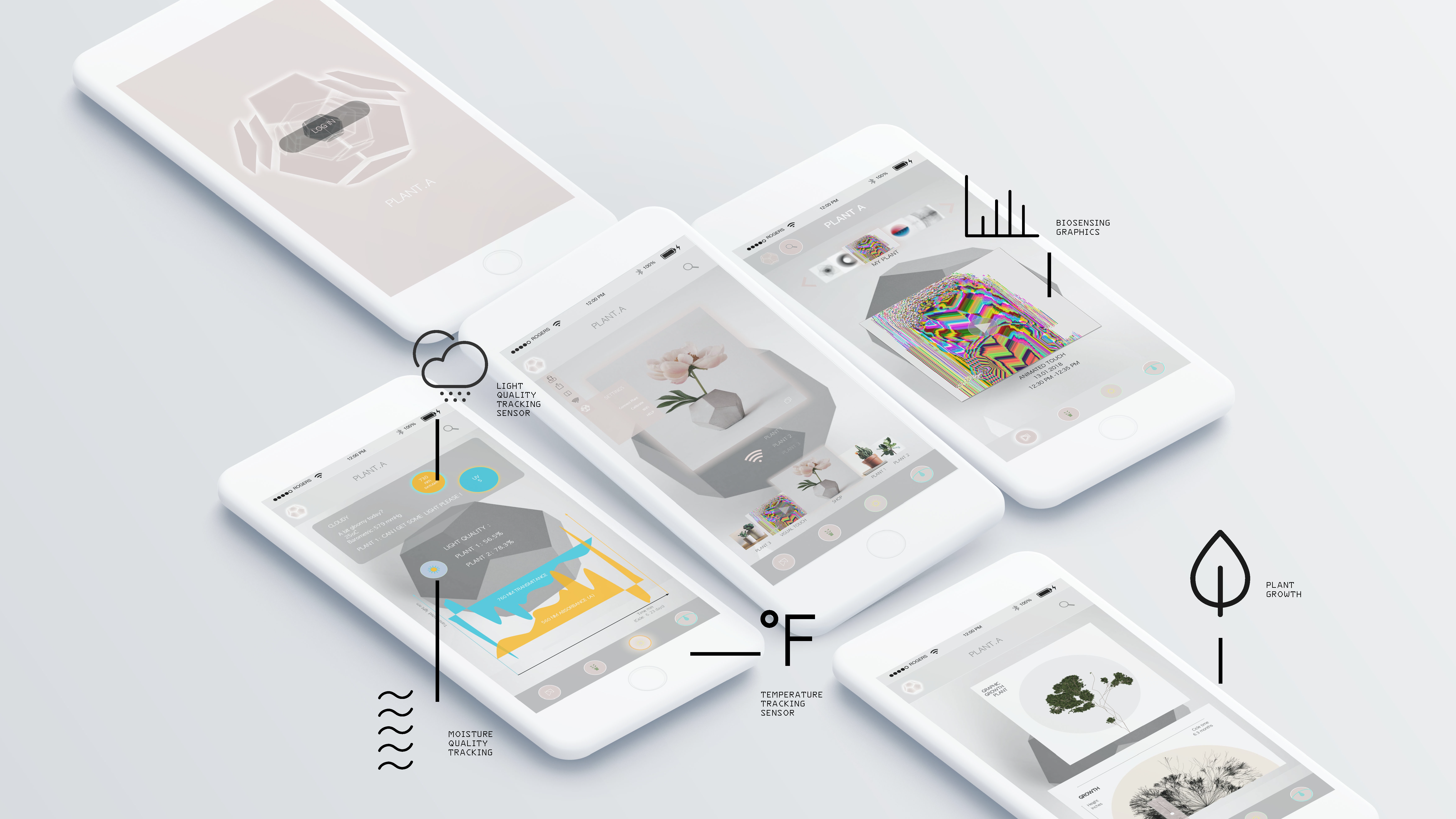 Testing & Validation